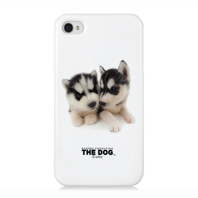 【iPhone4S/4】The Dog iPhone 4 -Siberian Husky