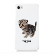 【iPhone4S/4】The Cat iPhone 4 -Scottish Fold
