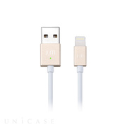 AluCable LED (Gold)