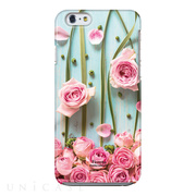 【iPhone6s/6 ケース】Fioletta ハードケース (Dreamy Rose)