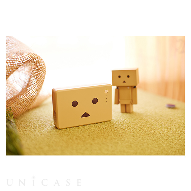 Power Plus 10050mAh DANBOARD version