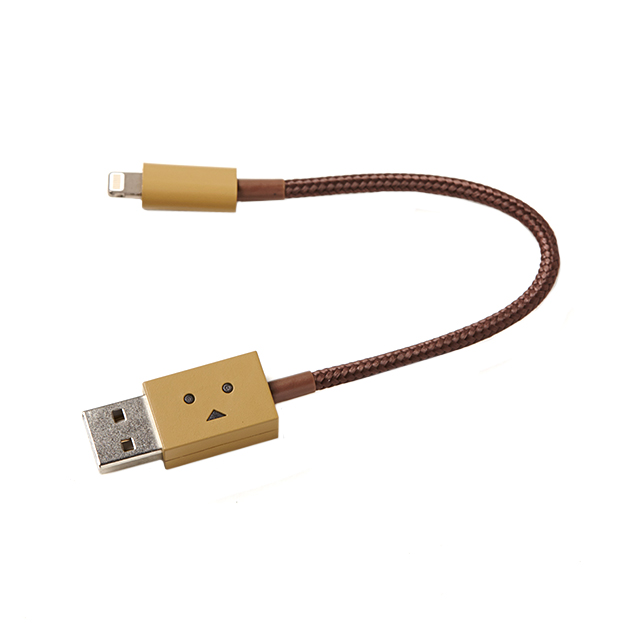 DANBOARD USB Cable with Lightning connector (10cm)サブ画像