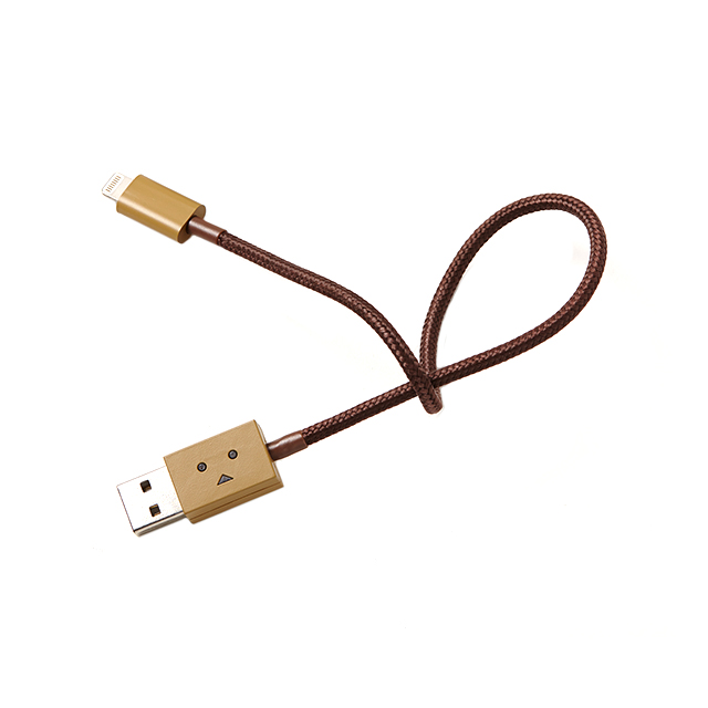 DANBOARD USB Cable with Lightning connector (25cm)サブ画像