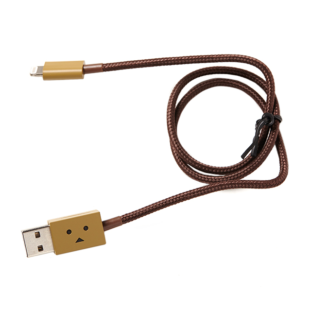 DANBOARD USB Cable with Lightning connector (50cm)サブ画像