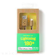 DANBOARD USB Cable with Lightning connector (180cm)