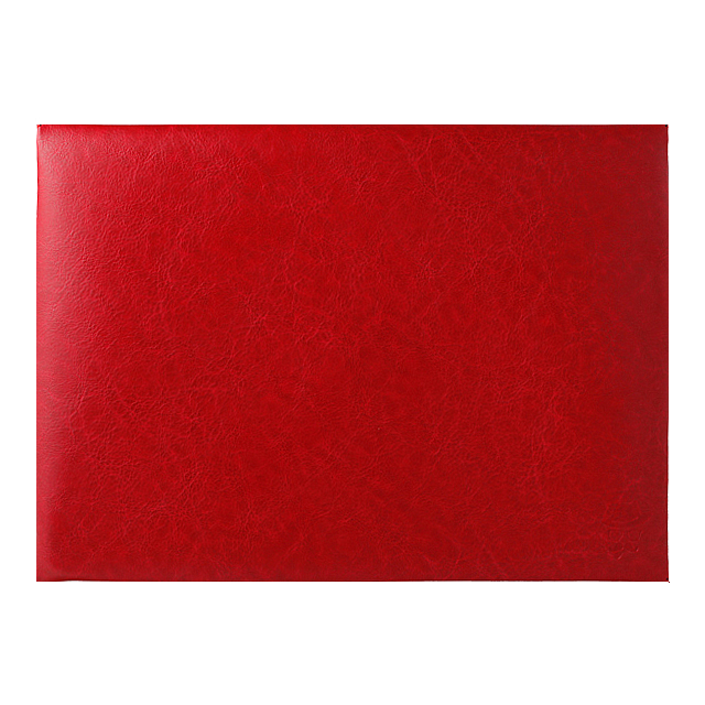 Gentleman Envelope File for B5 (レッド)サブ画像