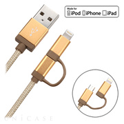 2 in 1 SYNC CABLE (Gold)