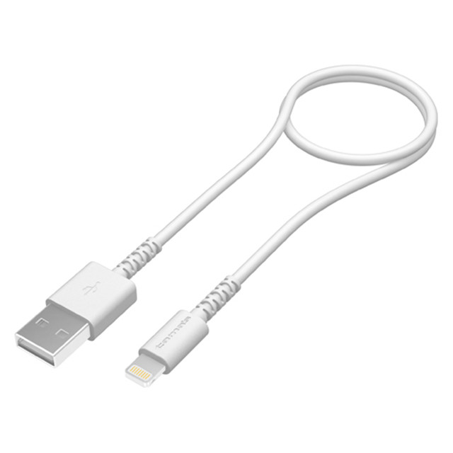 Lightning USB Cable 50cm WHサブ画像