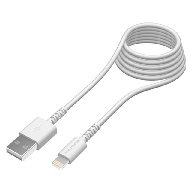 Lightning USB Cable 2m WHサブ画像