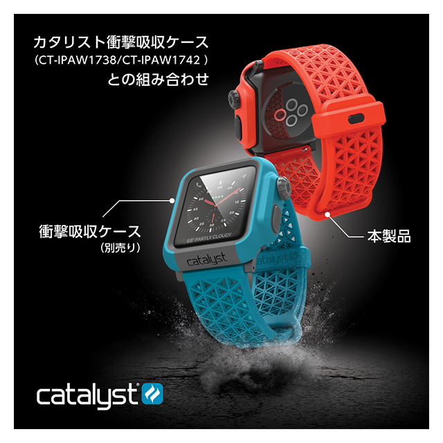 【Apple Watch バンド 40/38mm】Catalyst スポーツバンド (スペースグレー) for Apple Watch Series4/3/2/1サブ画像
