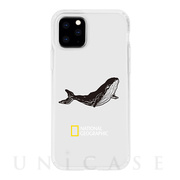 【iPhone11 Pro ケース】INTO THE WILD Jelly Hard Case (Whale)