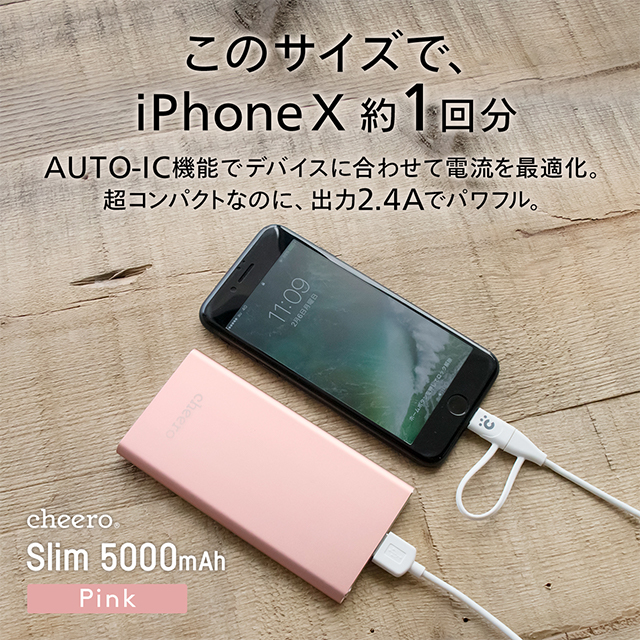 Slim 5000mAh (ローズゴールド)サブ画像