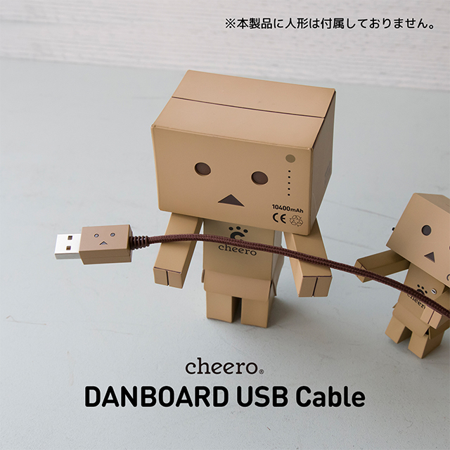 DANBOARD USB cable (Type-C) 50cmサブ画像