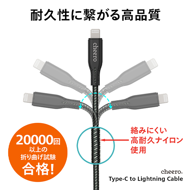 Type-C to Lightning Cable 100cmサブ画像
