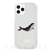【iPhone12/12 Pro ケース】Into the Wild Jell-hard Case (Whale)