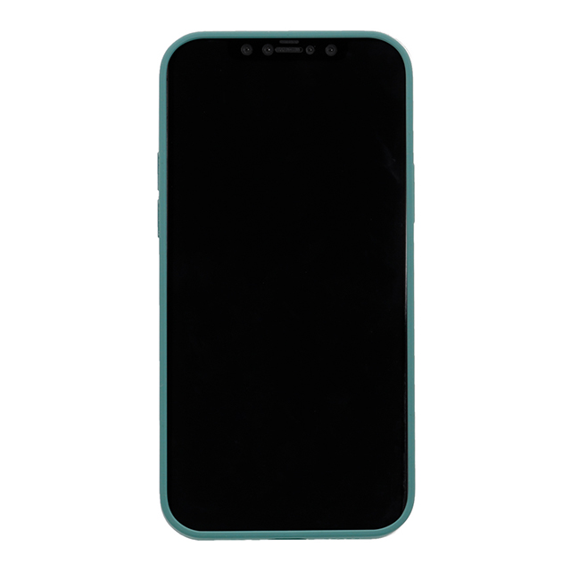 【iPhone12/12 Pro ケース】背面型シリコンケース (グリーン)サブ画像