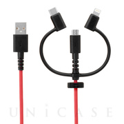 3 in 1 Lightningアダプター＆USB Type-C...