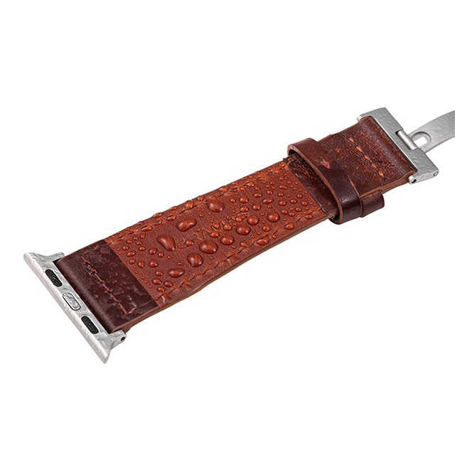 【Apple Watch バンド 49/45/44/42mm】Museum-calf German Leather Watchband (Dark Brown) for Apple Watch Ultra2/1/SE(第2/1世代)/Series9/8/7/6/5/4/3/2/1サブ画像