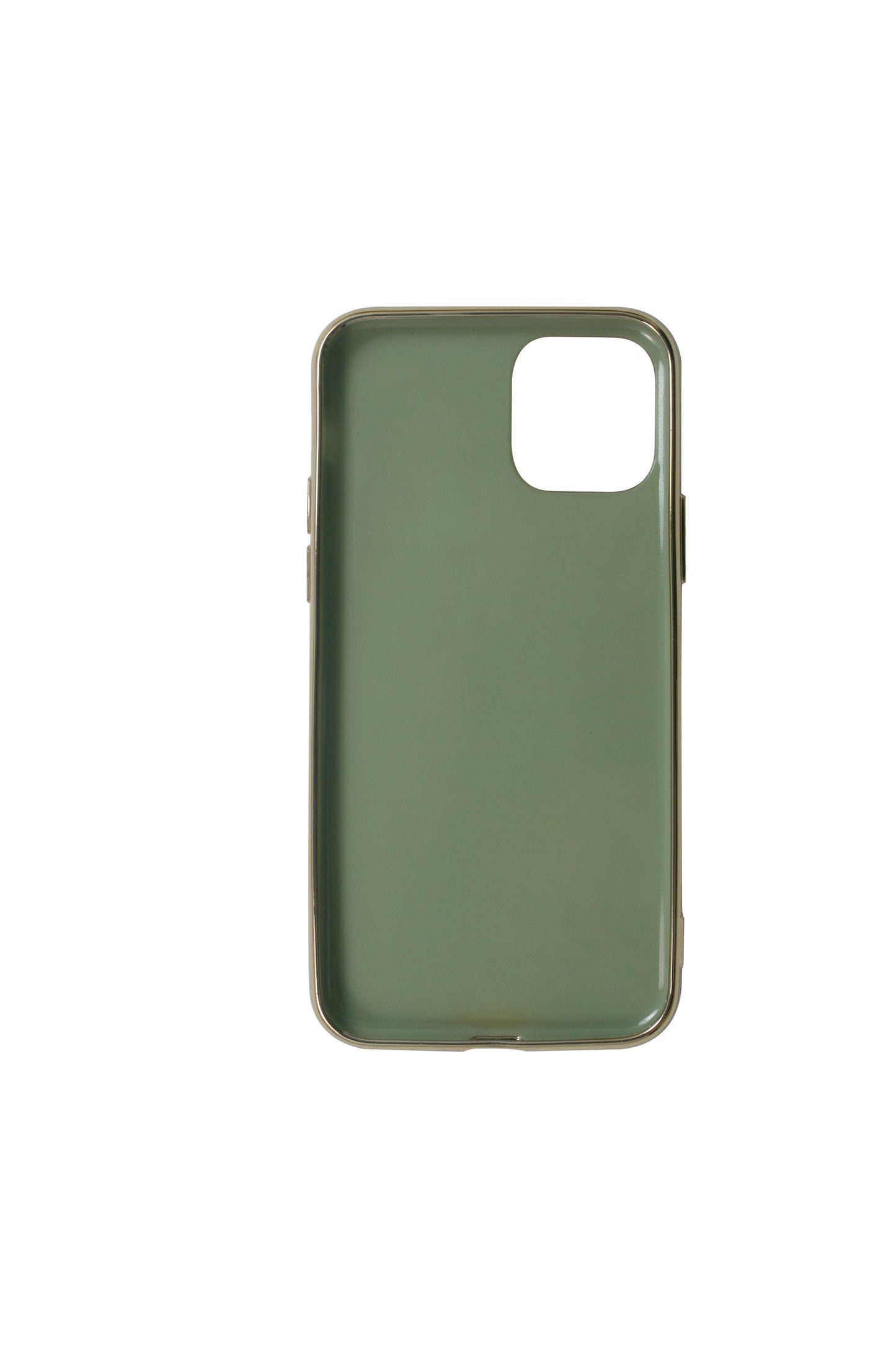 【iPhone11 Pro】ROOSEVELT CASE (light green)