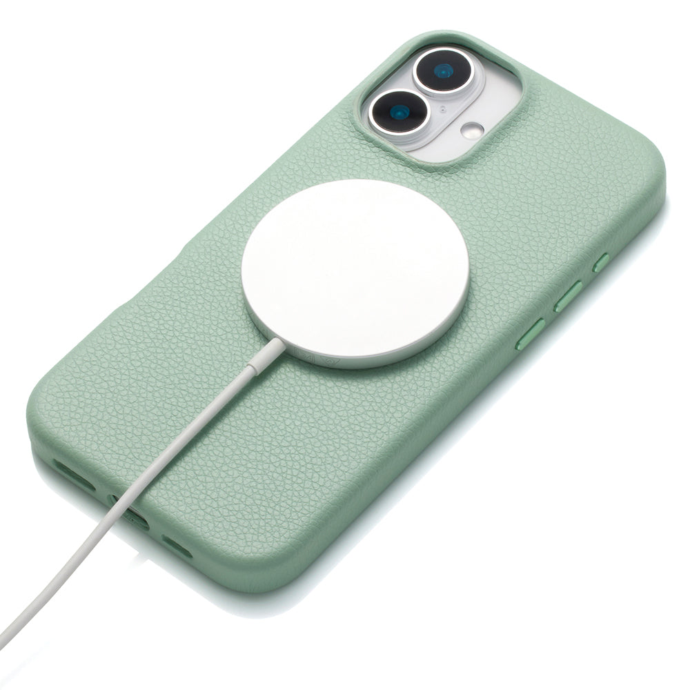 2Way Mag Flip Case (gray)