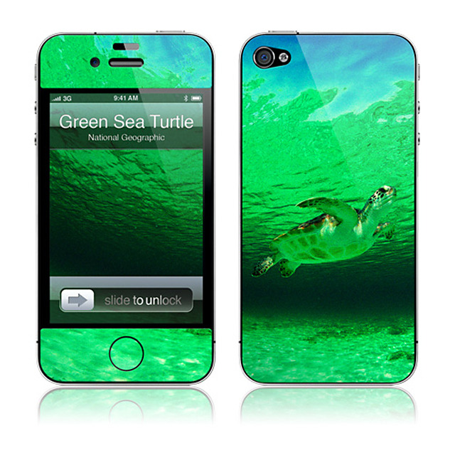 【iPhone4S/4 スキンシール】A Wild Green Sea Turtle National Geographic × GELASKINS