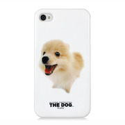【iPhone4S/4】The Dog iPhone 4 -Pomeranian