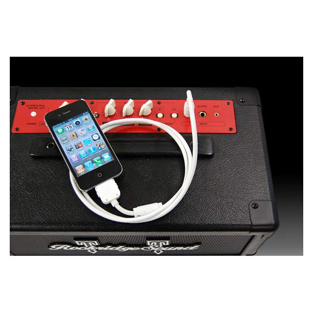 ギターアンプ搭載iPad対応スピーカー 「JamTube」 ROCKRIDGESOUND