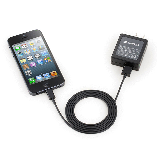 SoftBank SELECTION  iPhone5用 USBケーブル(L) ブラックサブ画像