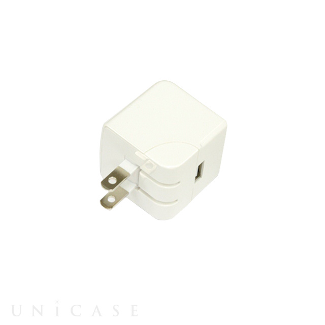 USB AC充電器 for iPad/タブレット・スマートフォン (ホワイト)