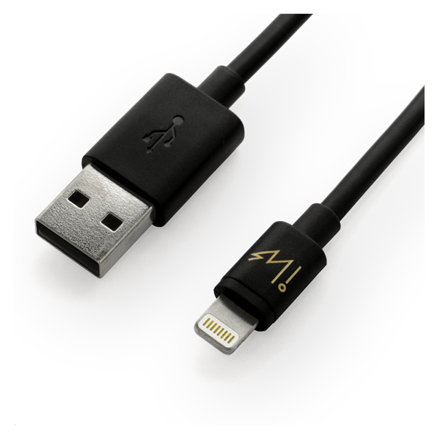 innowatt Lightning cable (Round 1m) BLACKサブ画像