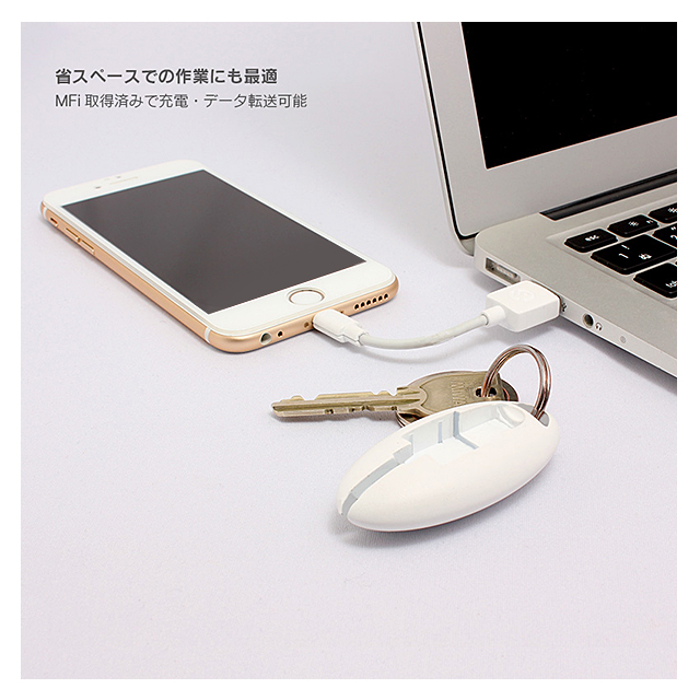 USB Lightning Cable 「ケーブルを持ち歩く、新しいカタチ。」 (ピンク)goods_nameサブ画像