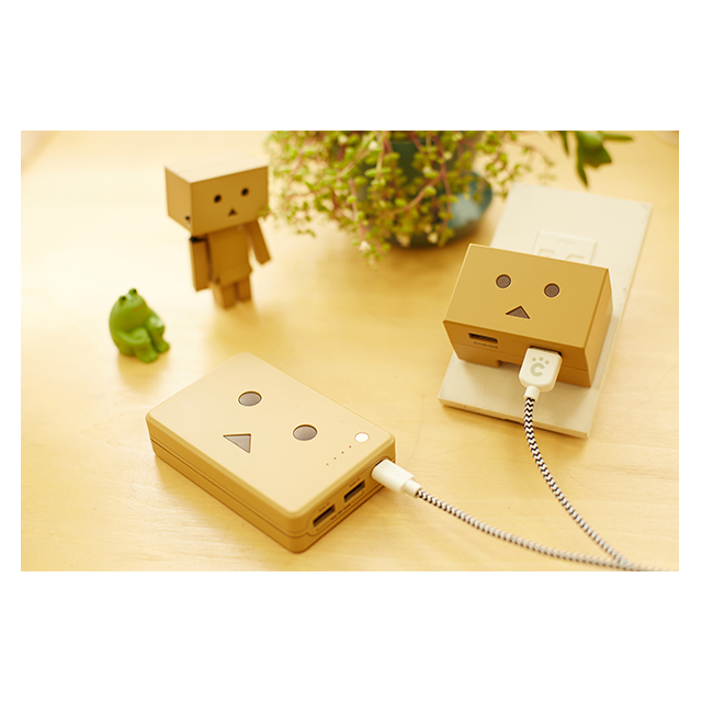 Power Plus 10050mAh DANBOARD versionサブ画像