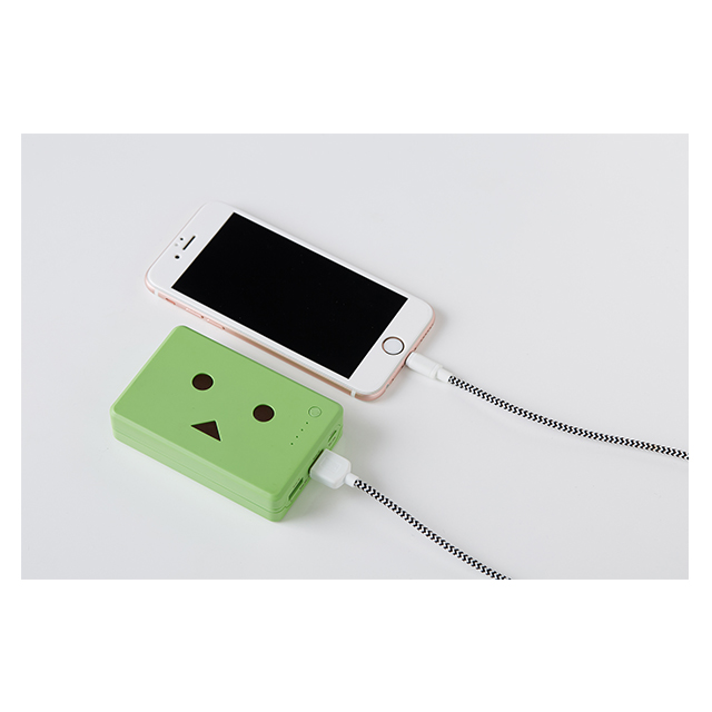 Power Plus 10050mAh DANBOARD version -FLOWERS- (よつば)goods_nameサブ画像