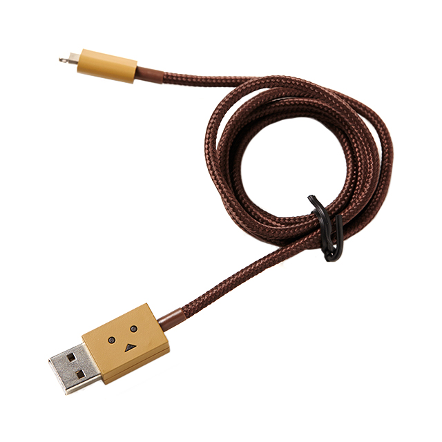 DANBOARD USB Cable with Lightning connector (100cm)サブ画像