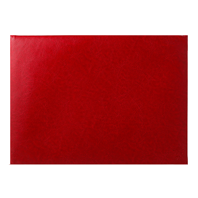 Gentleman Envelope File for A4 (レッド)サブ画像