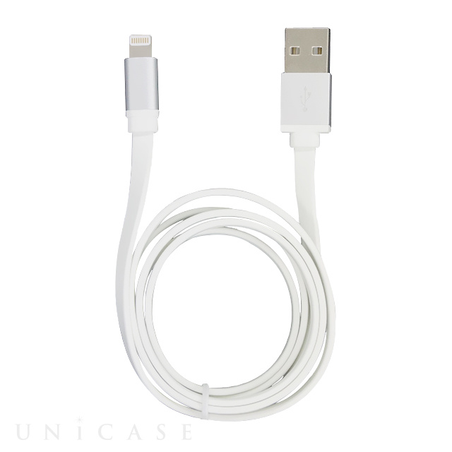 POWER CABLE for Lightning 1m Type (SILVER)