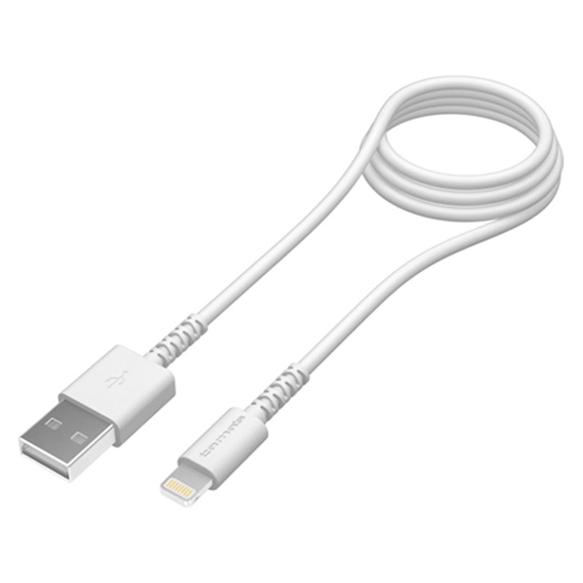Lightning USB Cable 1m WHgoods_nameサブ画像