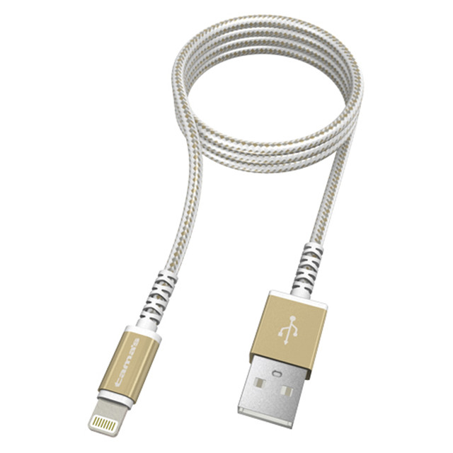 Lightning METAL USB Cable 1m GDサブ画像
