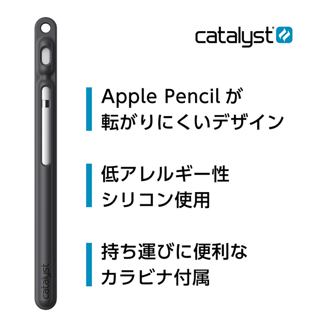 Catalyst Apple Pencil キャリーケース (スレートグレー)サブ画像