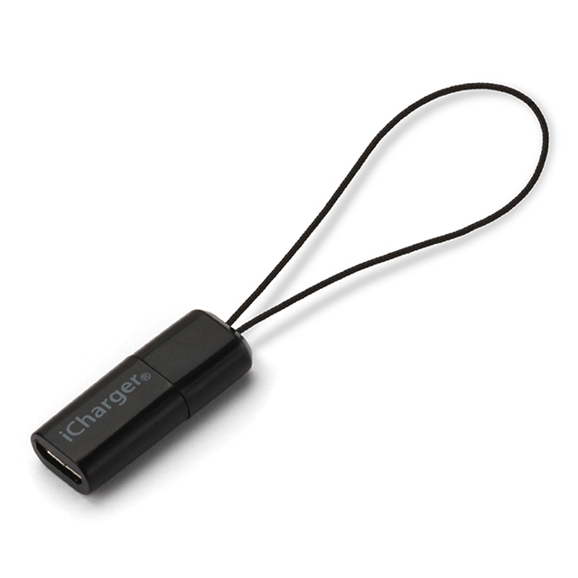 Lightning - micro USB 変換アダプタ (ブラック)サブ画像