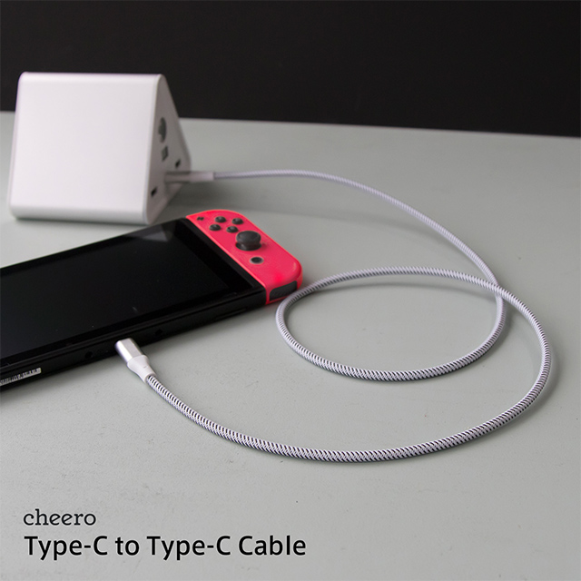 Type-C to Type-C Cable 100cmgoods_nameサブ画像