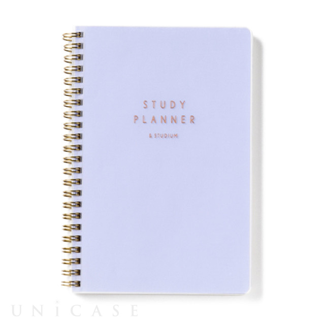 STUDY PLANNER DAILY (BLUE)