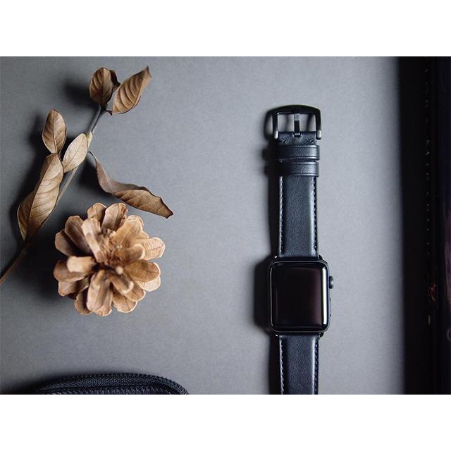 【Apple Watch バンド 44/42mm】Apple Watch band (Raven) for Apple Watch SE(第2/1世代)/Series6/5/4/3/2/1goods_nameサブ画像