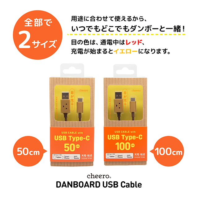 DANBOARD USB cable (Type-C) 100cmサブ画像