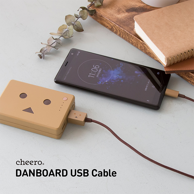 DANBOARD USB cable (Type-C) 100cmサブ画像