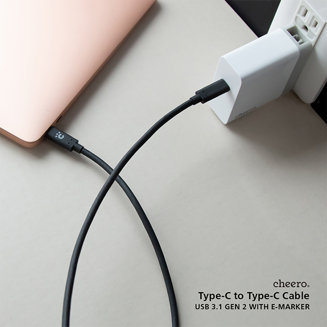 Type-C to Type-C Cable USB 3.1 G2サブ画像