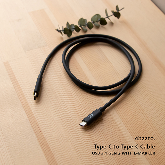 Type-C to Type-C Cable USB 3.1 G2goods_nameサブ画像
