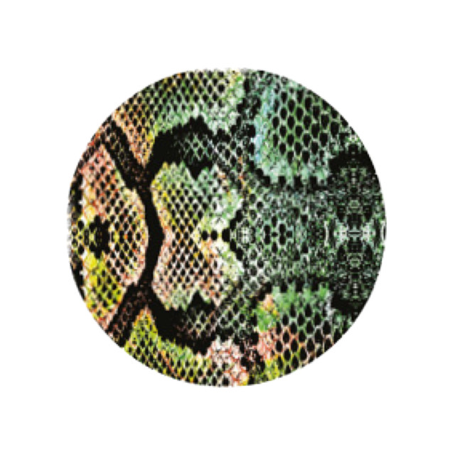 Universal Popsockets (Exotic Snake)サブ画像