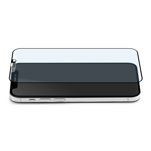 【iPhone12 mini フィルム】貼りミスゼロ全面保護ガラス (マット・ブルーライトカット)goods_nameサブ画像