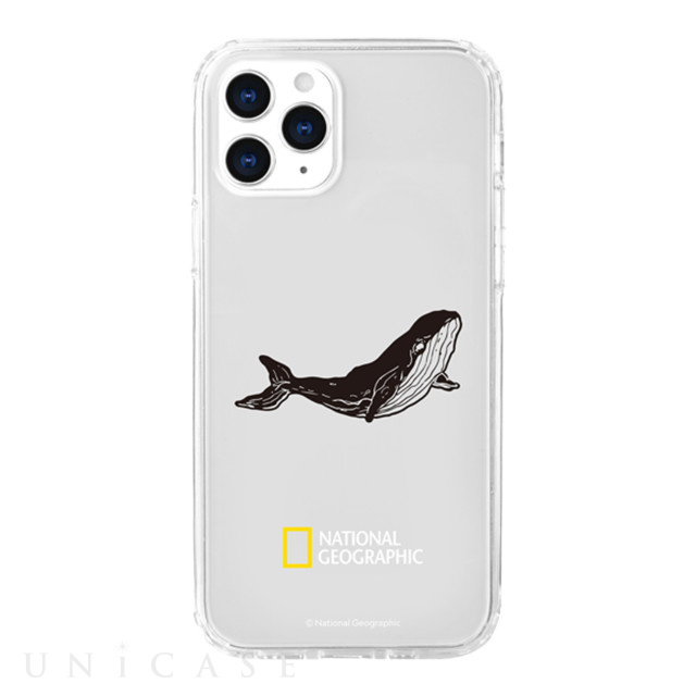 【iPhone12 Pro Max ケース】Into the Wild Jell-hard Case (Whale)